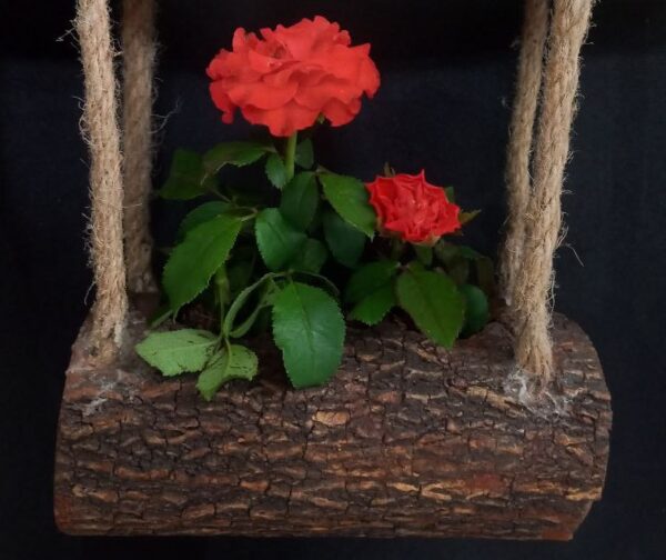 Swinging planter of pine / log wood for office or inhouse usage