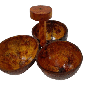 Coconut shell serving bowl set
