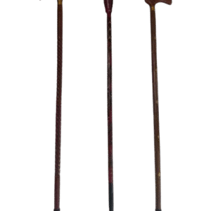 Walking Sticks